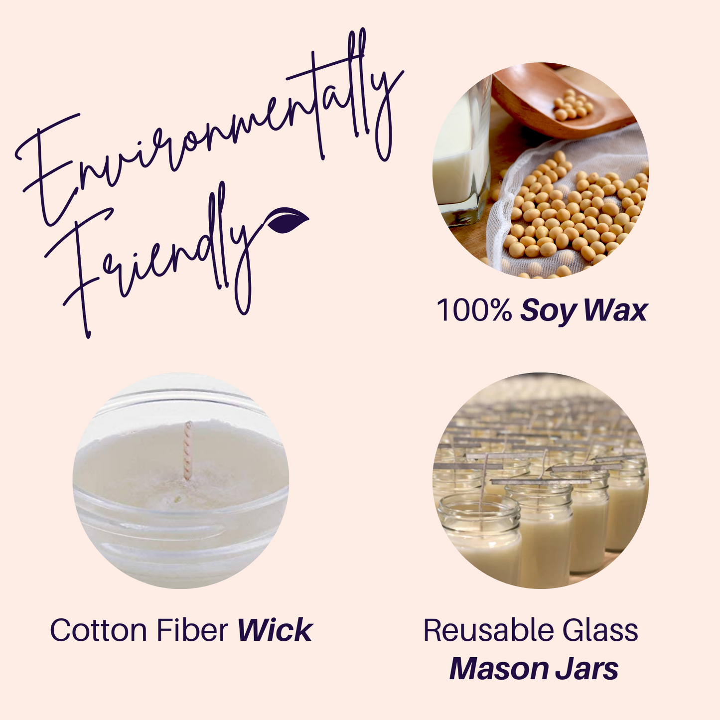 Black Raspberry & Vanilla